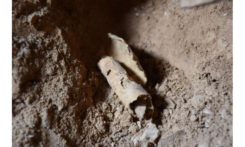 Archaeologists find 12th Dead Sea Scrolls cave
