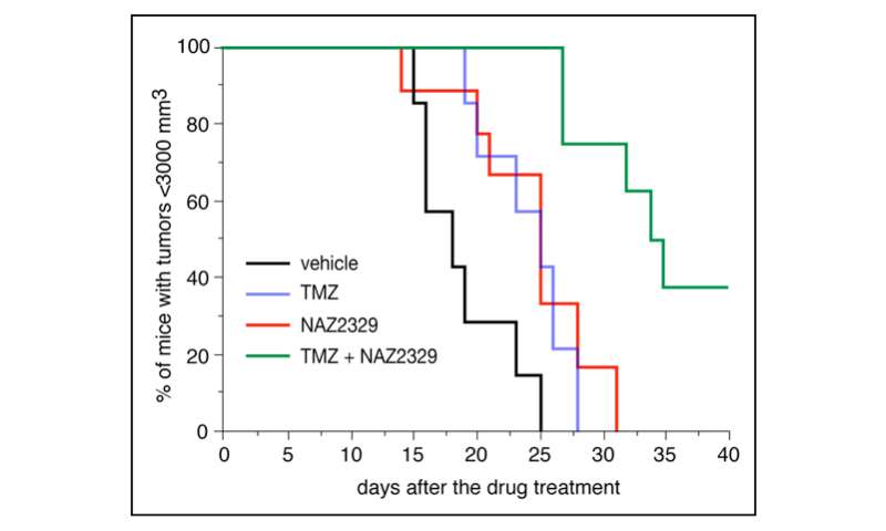 Identification of PTPRZ as a drug target for cancer stem cells in glioblastoma