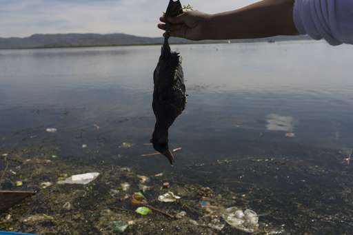 Lake worshipped by Incans now littered with trash