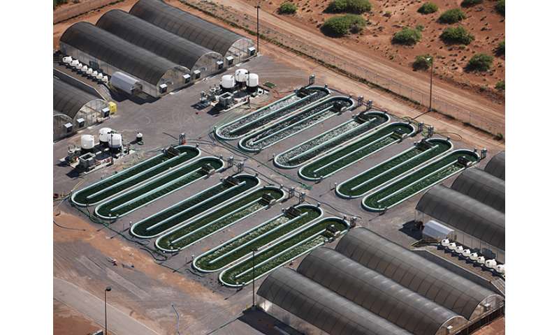 Algae production research gets boost at Los Alamos