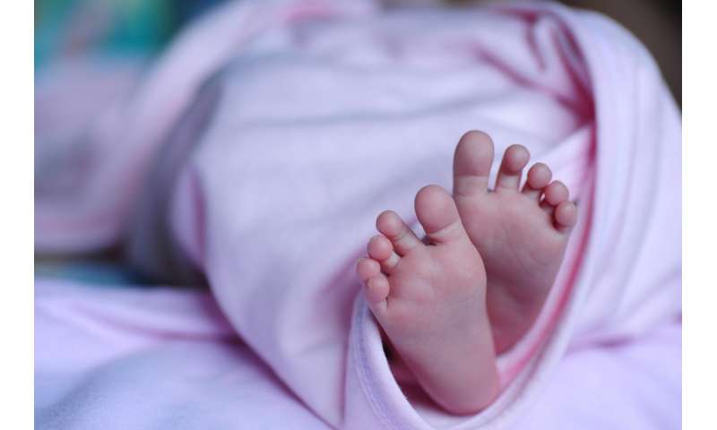 Risultati immagini per A lack of oxygen in preterm birth impair hippocampal development
