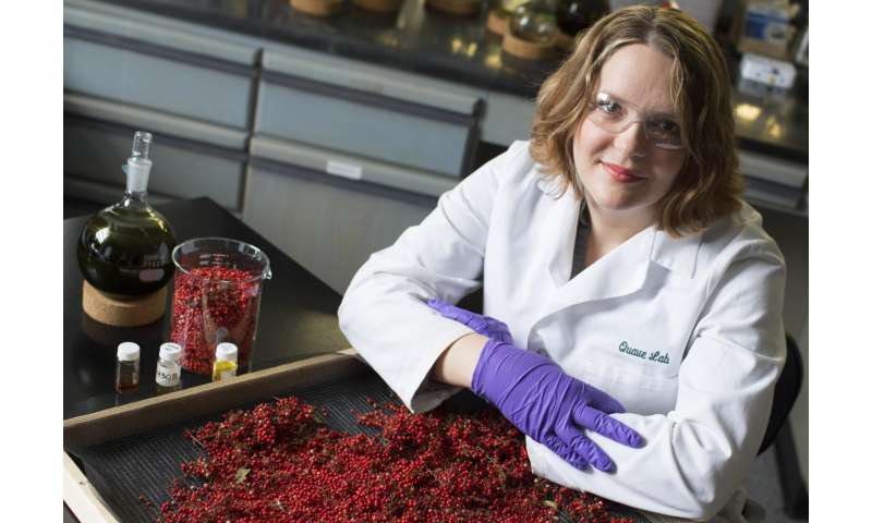 Brazilian peppertree packs power to knock out antibiotic-resistant bacteria