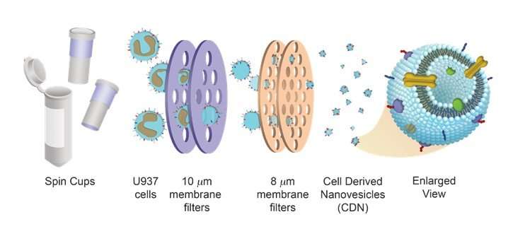 Cell Derived Drug Delivery Systems - 