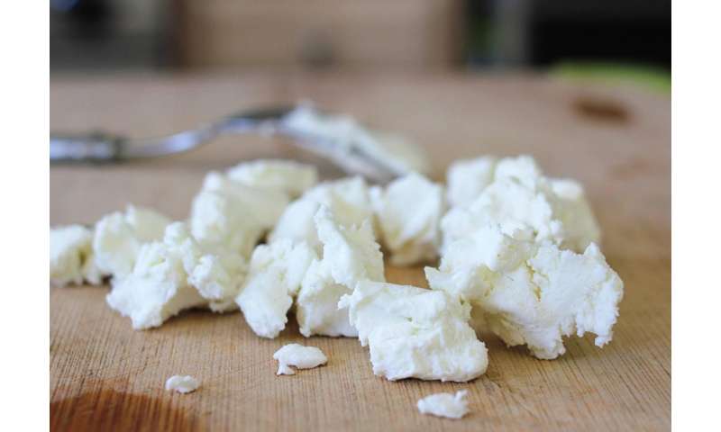 Study Catalogs The Complex Flavors Of American Made Goat Cheese