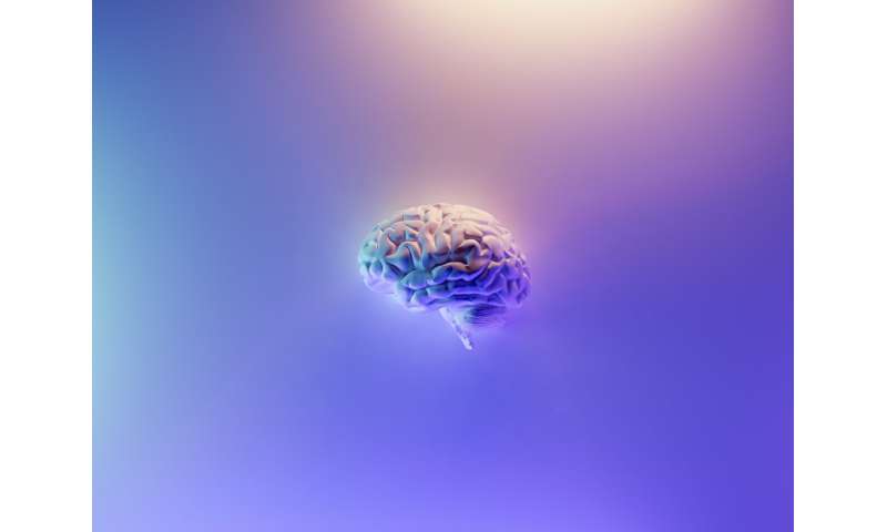 Brain implant could stop epilepsy seizures