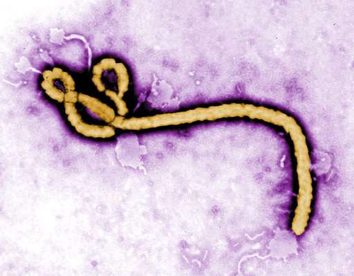 Congo's Ebola outbreak reports 1st confirmed urban case