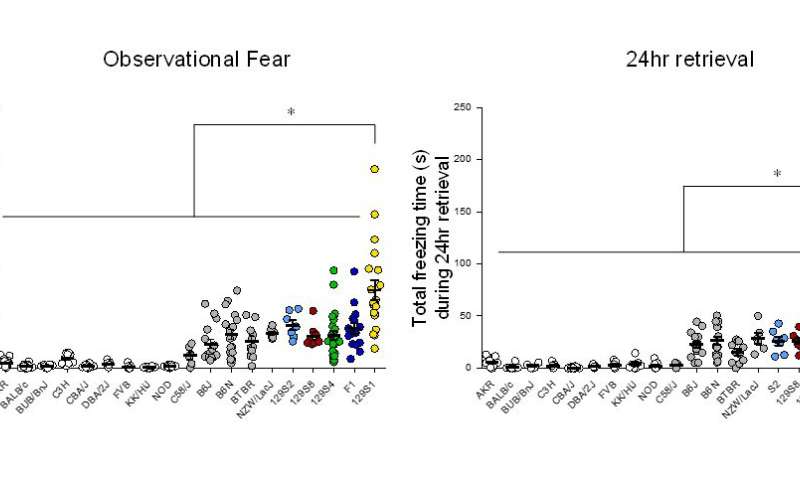 Gene variant increases empathy-driven fear in mice