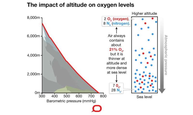 How does altitude affect the body and why does it affect people differently?