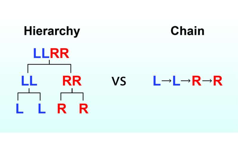 R Hierarchy Chart