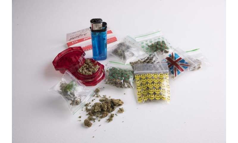 Nearly all cannabis seized by UK police is high-strength 'skunk'– here's why we should be worried