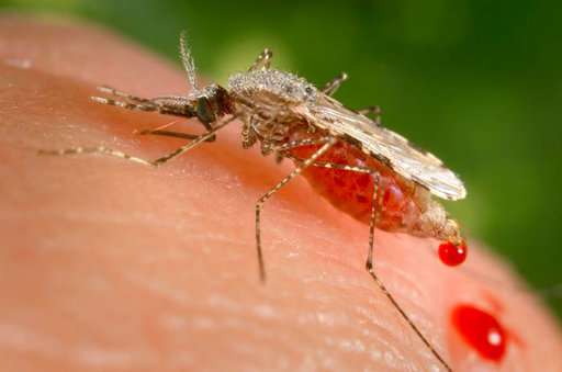 非侵入性疟疾测试赢得非洲工程奖