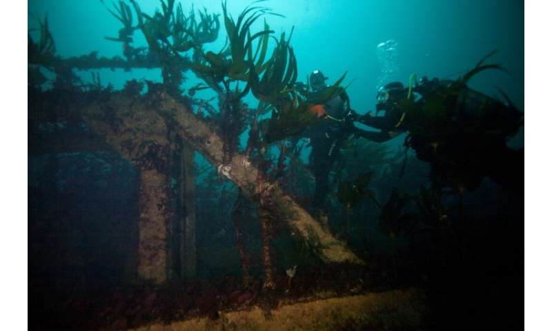 The wreck of the Amoco-Cadiz lies 25 metres under the sea off the coast of Portsall, north-eastern France