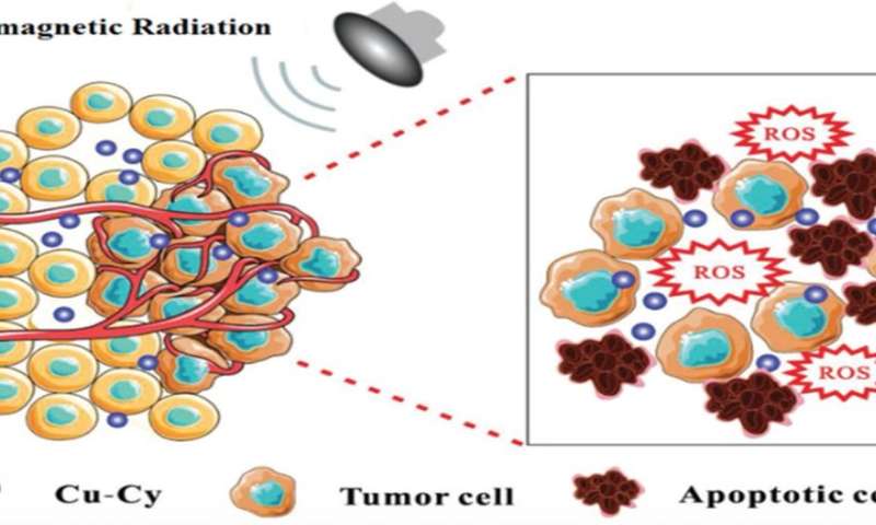 UTA awarded US/international patents on material that attacks multiple cancers