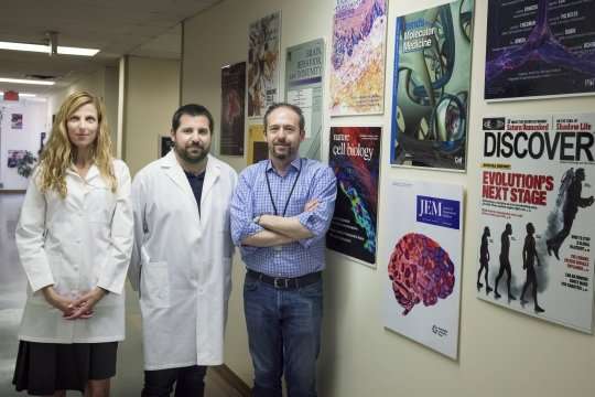 UVA identifies brain's lymphatic vessels as new avenue to treat multiple sclerosis