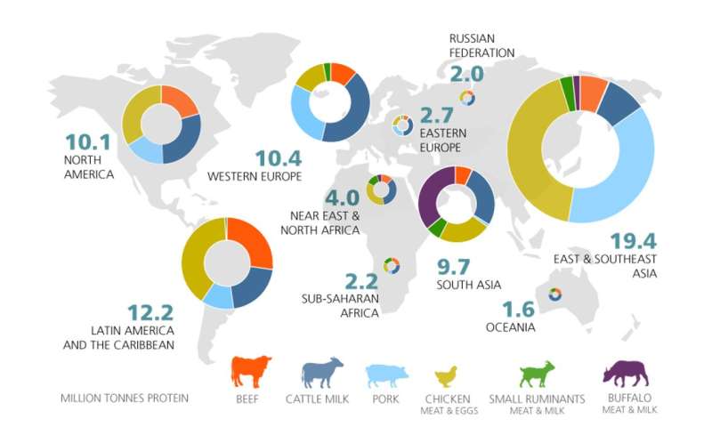 Yes Eating Meat Affects The Environment But Cows Are Not Killing