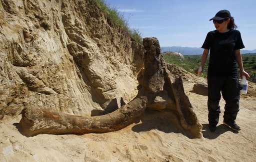 Macedonia: 8 million-year-old elephant-like remains found