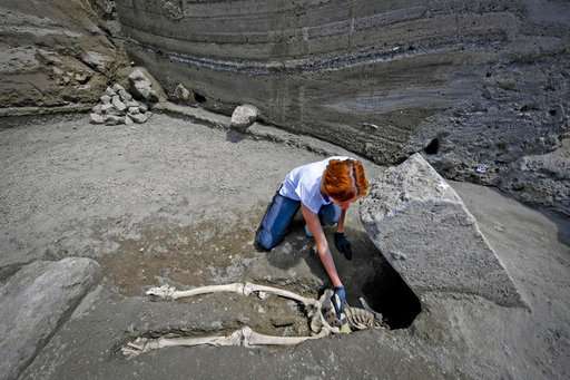 Pompeii: New find shows man crushed trying to flee eruption