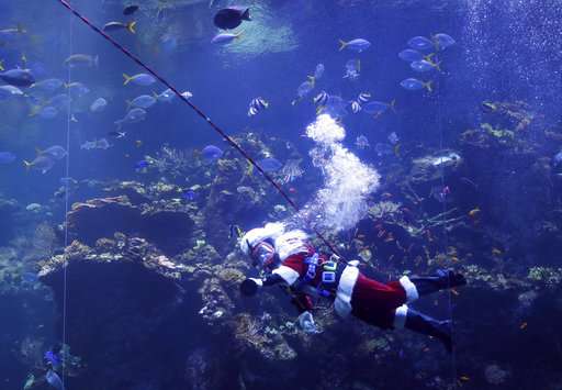Scuba-diving Santa brings holiday cheer to fish, museumgoers