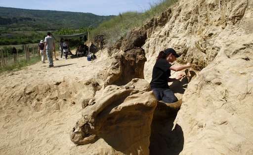 Macedonia: 8 million-year-old elephant-like remains found
