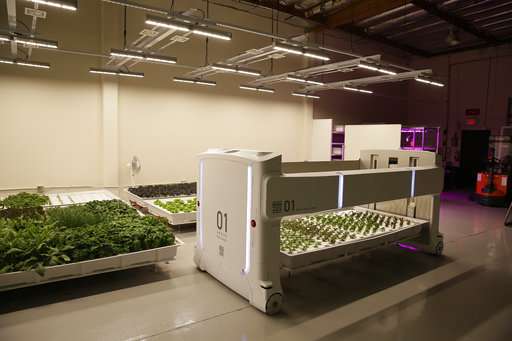 Meet the farmers of the future: robots