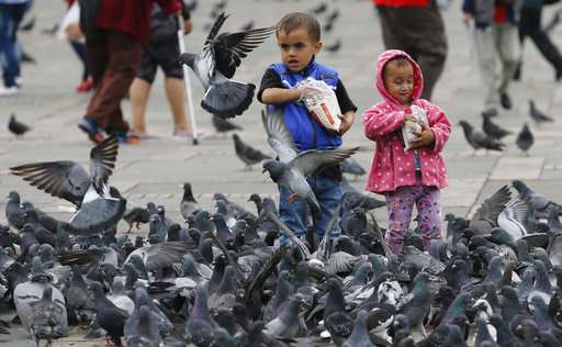 Bogota implores tourists to stop feeding pigeons