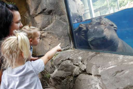 Professor Fiona? Famed baby hippo an educational force