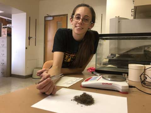 Researchers study midge fly infestation in Ohio wastewater treatment plants