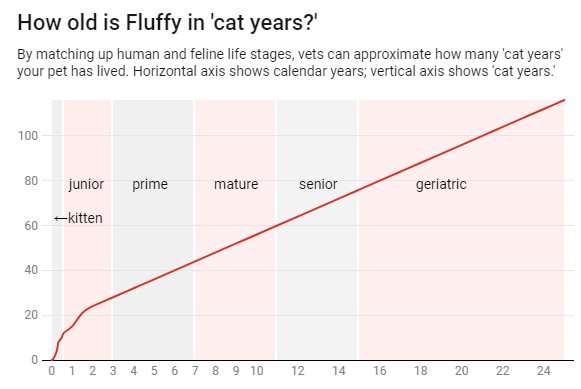 How Old Is My Cat Chart