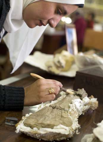 Rare dinosaur discovery in Egypt could signal more finds