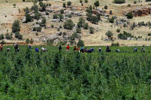Lebanon's cannabis heartland, Bekaa, hopes for legalization