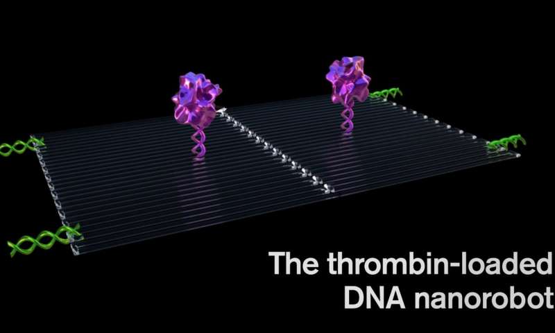 Cancer-fighting nanorobots programmed to seek and destroy tumors