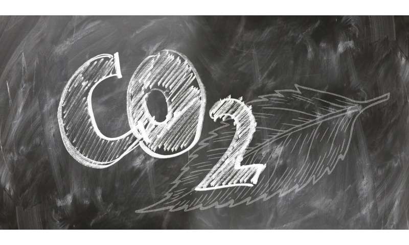 Higher Carbon Dioxide Levels Could Muddle Our Thinking