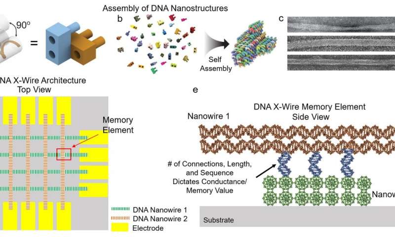 DNA-ROM: New grant aims for memory chips based on DNA