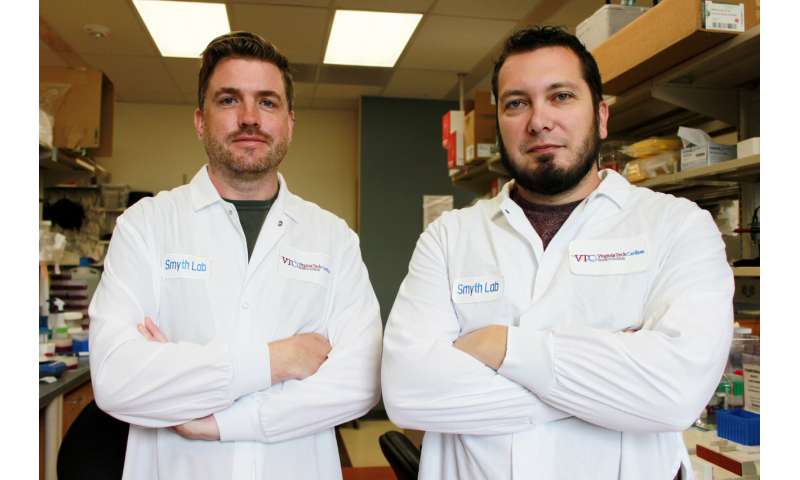 Heart association to support grad student's research into sudden cardiac death