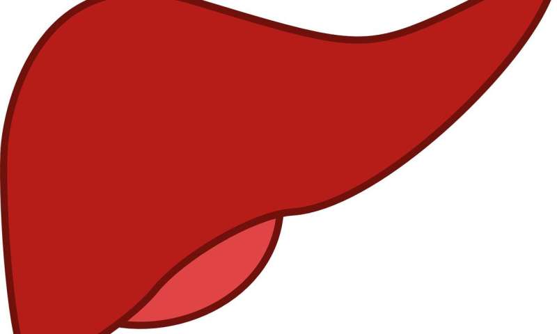 Gene biomarkers indicate liver toxicity quickly and accurately thumbnail