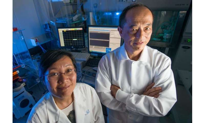 Penetrating a cell's nucleus for better, more accurate cancer screening