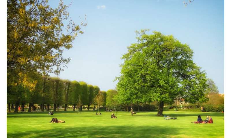 Studies linking green space to lower suicide risk are ‘just a snapshot’