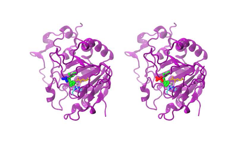 Simulation of the AsqJ enzyme opens up new options for pharmaceutical ...