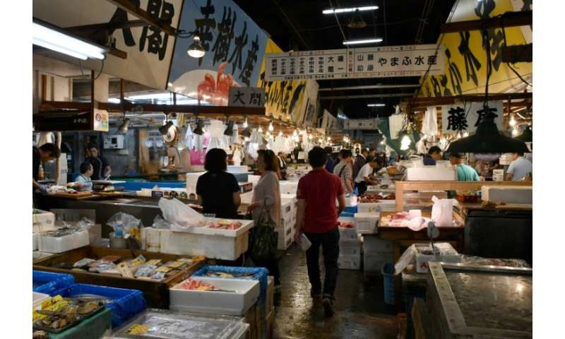 operation tsukiji: tokyo battles rats as iconic market shuts