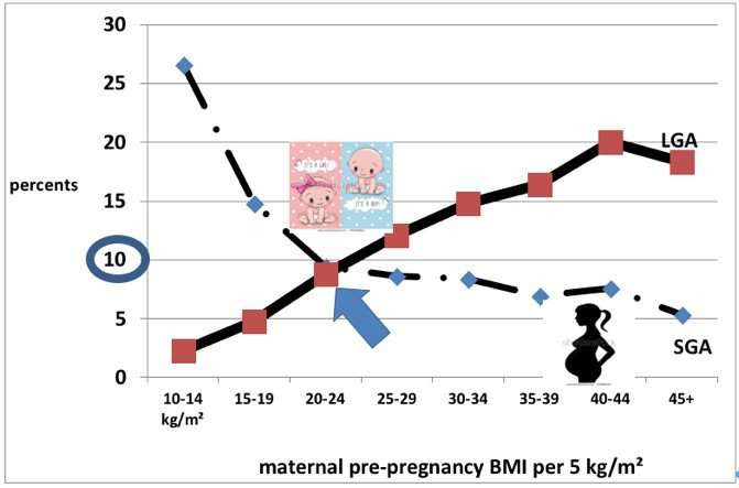 Very Obese Women Should Lose Weight During Pregnancy For A Healthy