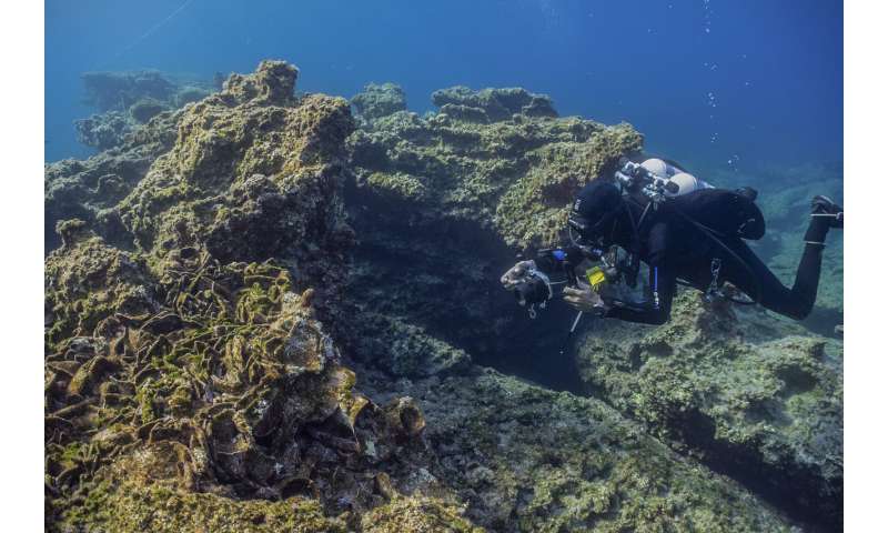 3 ancient shipwrecks discovered off Aegean island of Kasos