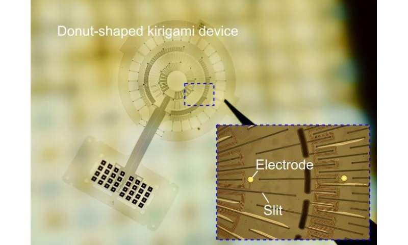 Electronics integrated to the muscle via 'Kirigami'