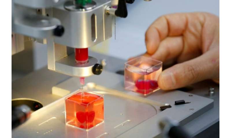 Journalists were shown a 3D print of a heart about the size of a cherry, immersed in liquid, at Tel Aviv University