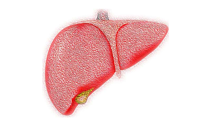 Q&A: Y-90 therapy offers many benefits in treatment of liver cancer thumbnail