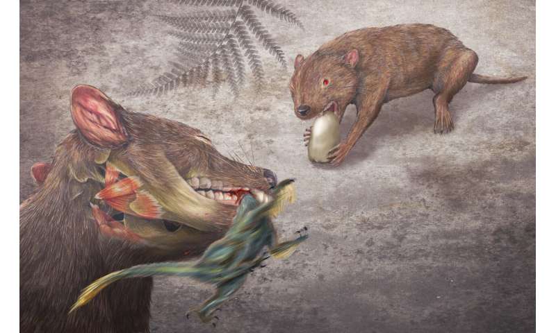 Mammals and their relatives thrived, diversified during so-called ‘Age of dinosaurs,’ researchers show