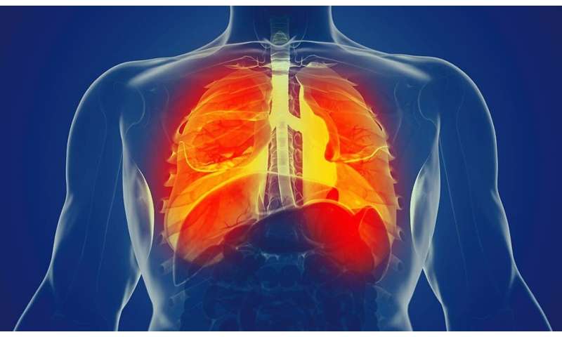 Mechanical forces impact immune response in the lungs