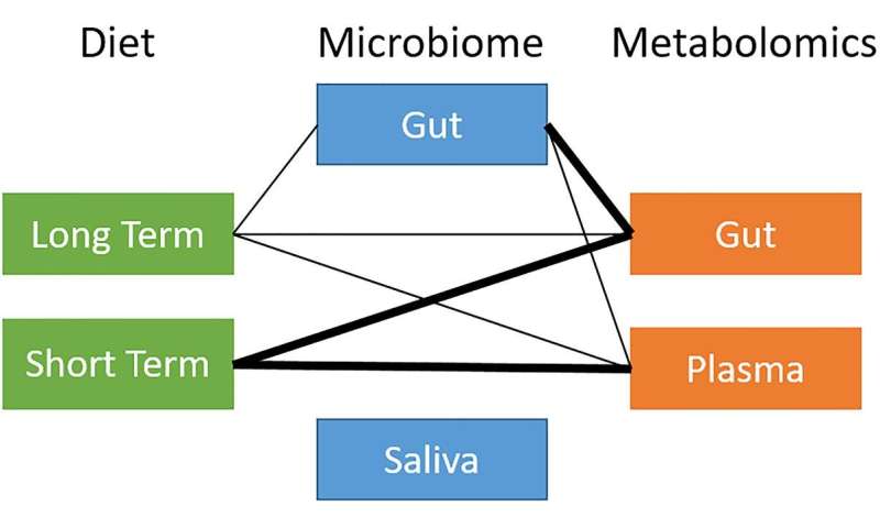 Microbiome links diet to health