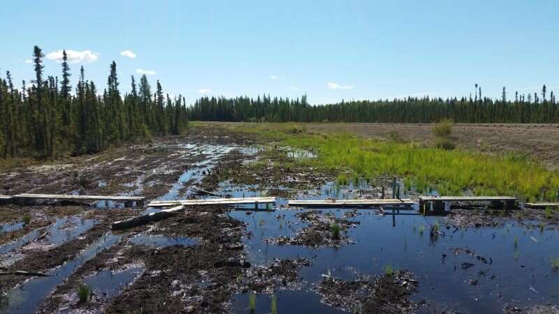 Peatlands release more methane when disturbed by roads