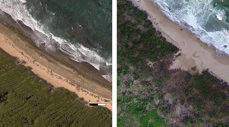 Scientists race to document Puerto Rico’s coastal heritage