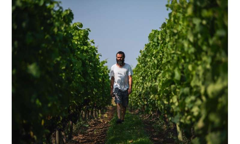 Sofrakis runs two properties and turns out a total of 20,000 bottles a year, almost a third of Sweden's total wine production